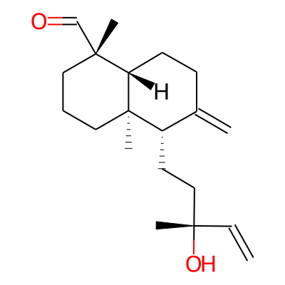 Torulosal