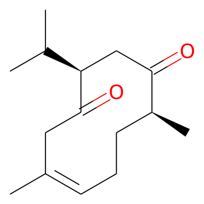 Neocurdione