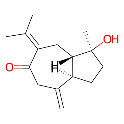 Isoprocurcumenol