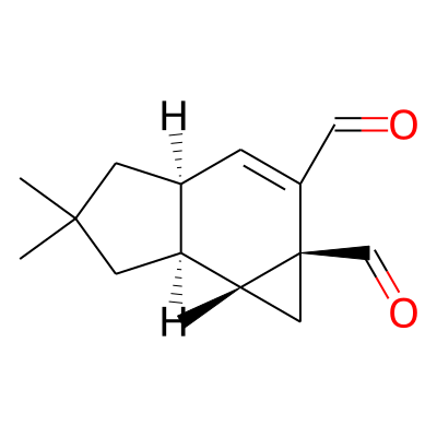 Isovelleral