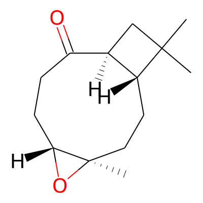 Kobusone