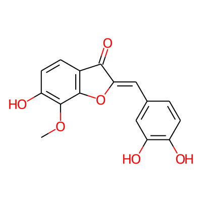 Leptosidin