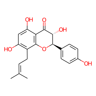 Neophellamuretin