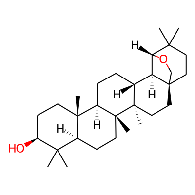 Allobetulin
