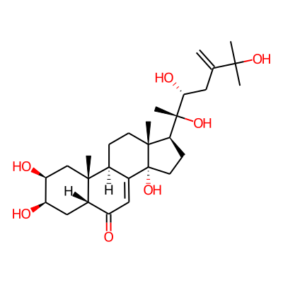24(28)-Dehydromakisterone A