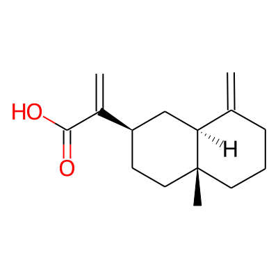 Costic acid