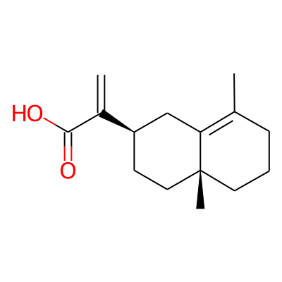Isocostic acid