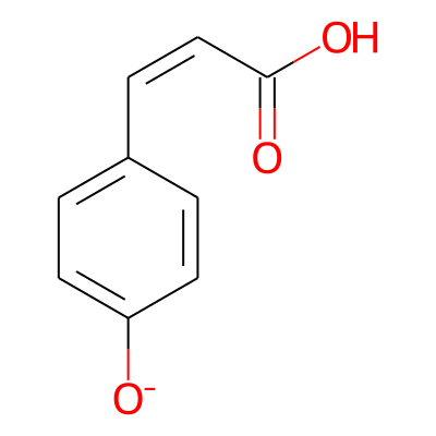 cis-4-Coumarate