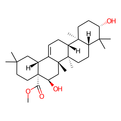 Methyl echinocystate