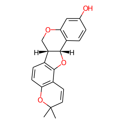 Phaseolin