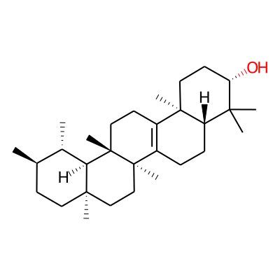 Isobauerenol