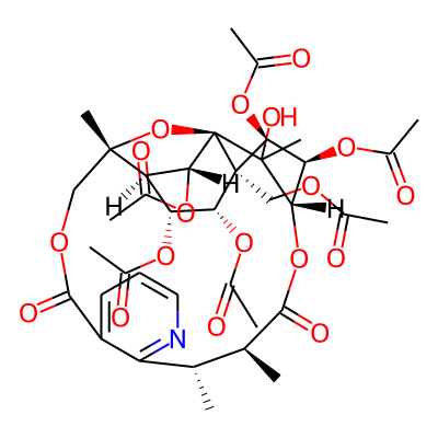 Euonymine