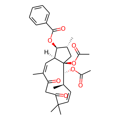 Euphoscopin D
