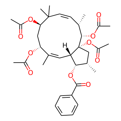 Euphornin D