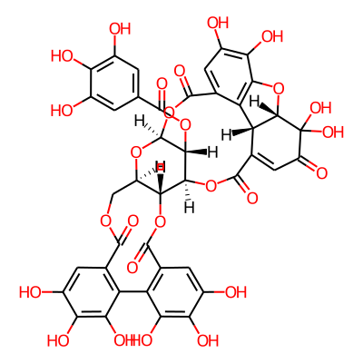 Euphorscopin