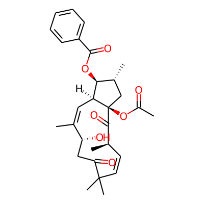 Euphoscopin E