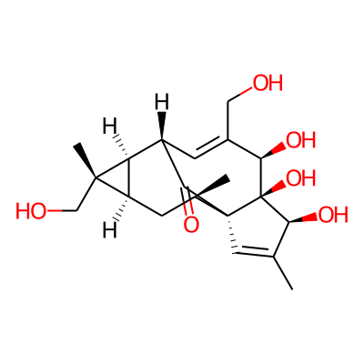 16-Hydroxyingenol