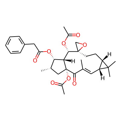 Euphorbiasteroid