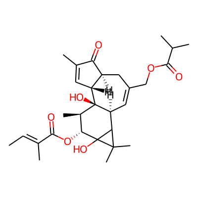 2-Butenoic acid, 2-methyl-, 1a,1b,4,4a,5,7a,7b,8,9,9a-decahydro-7b,9a-dihydroxy-1,1,6,8-tetramethyl-3-((2-methyl-1-oxopropoxy)methyl)-5-oxo-1H-cyclopropa(3,4)benz(1,2-e)azulen-9-yl ester, (1aR-(1aalpha,1bbeta,4abeta,7aalpha,7balpha,8alpha,9beta(E),9aalpha))-