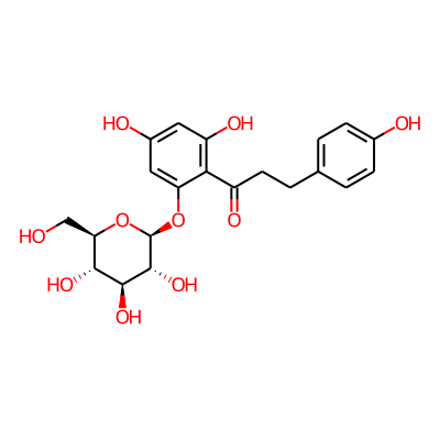 Phlorizin