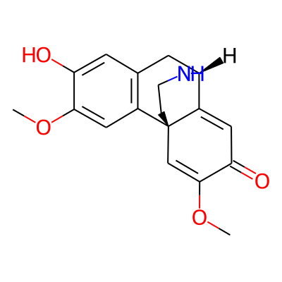 Norpallidine