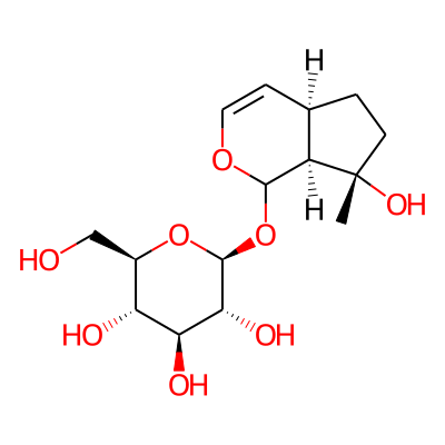 (2S,3R,4S,5S,6R)-2-[[(4aR,7S,7aS)-7-hydroxy-7-methyl-4a,5,6,7a-tetrahydro-1H-cyclopenta[c]pyran-1-yl]oxy]-6-(hydroxymethyl)oxane-3,4,5-triol