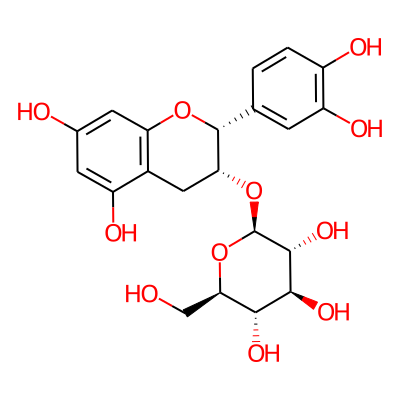 Epicatechin-3-glucoside