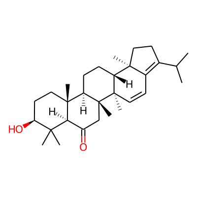 Mollugogenol C