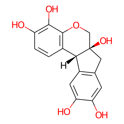 Haematoxylin