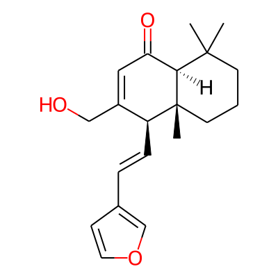 Yunnacoranarin-D