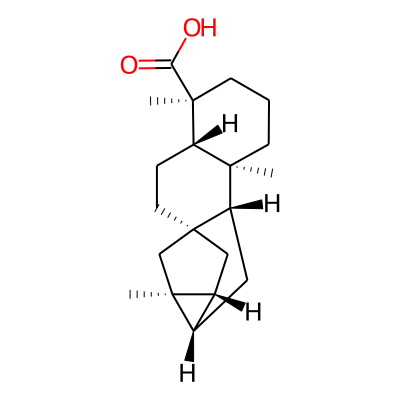 Trachyloban-19-oicacid