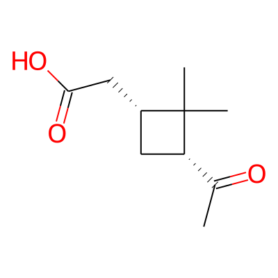 cis-Pinonic acid