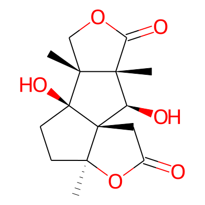 anislactone B