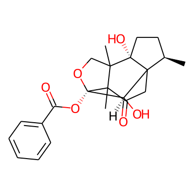 Tashironin