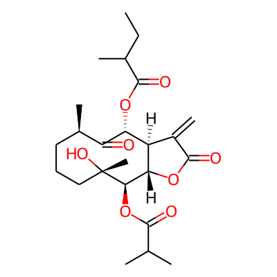 Incaspitolide B