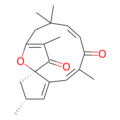 Jatrophon