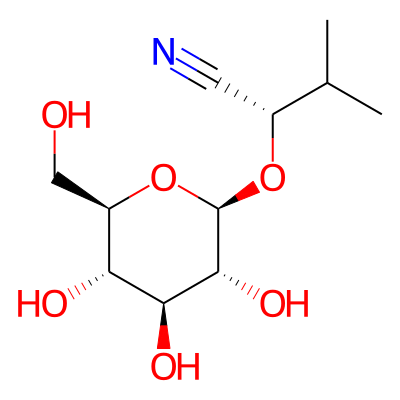 Heterodendrin