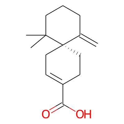 beta-Chamigrenic acid