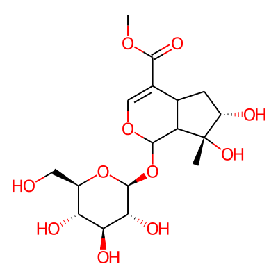 Caryoptoside