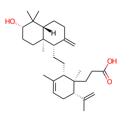 Lansiolic acid