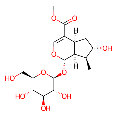 8-Epiloganin