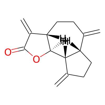 Dehydrocostus lactone