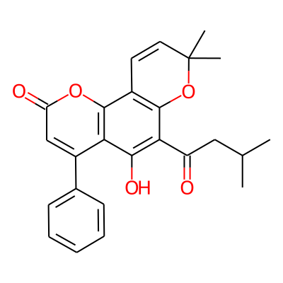 Mammeigin