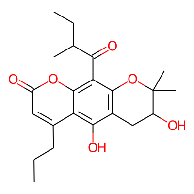 Pyranomammea B