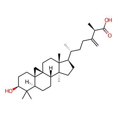 (2R,6R)-6-[(1S,3R,6S,8R,11S,12S,15R,16R)-6-hydroxy-7,7,12,16-tetramethyl-15-pentacyclo[9.7.0.01,3.03,8.012,16]octadecanyl]-2-methyl-3-methylideneheptanoic acid