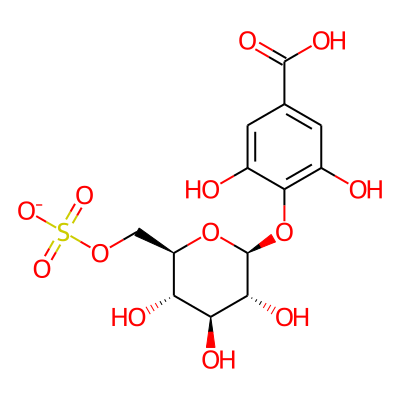Turgorin