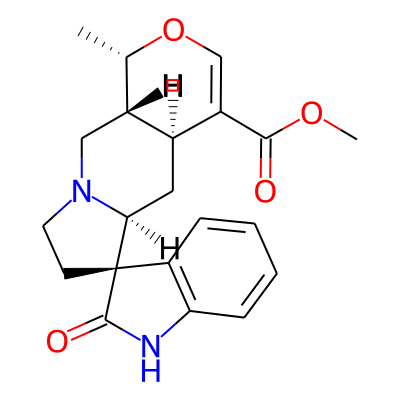 Isomitraphylline