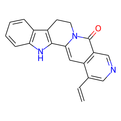 Angustine