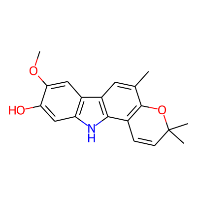 Koenigine