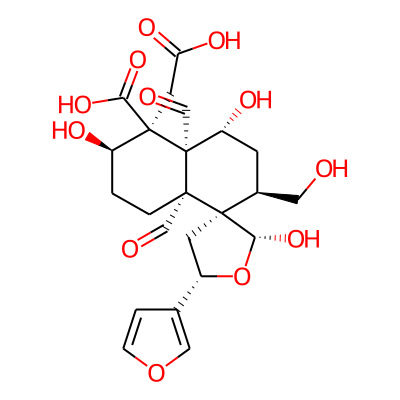 Musabalbisiane A